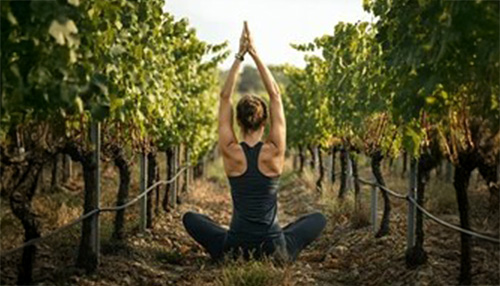 Fall Equinox Yoga, Bubbles & Brunch